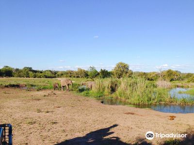 Sabi Sand Nature Reserve