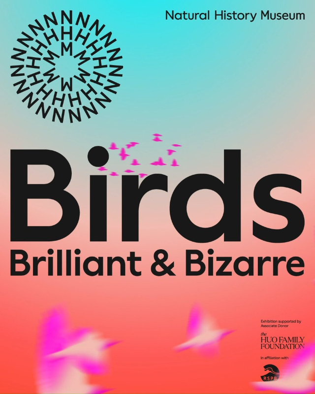 Birds: Brilliant and Bizarre | Natural History Museum