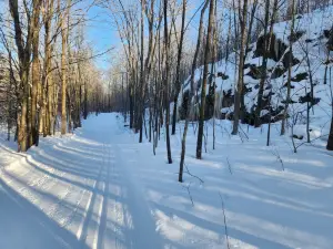 Wolverine Nordic Ski Trail