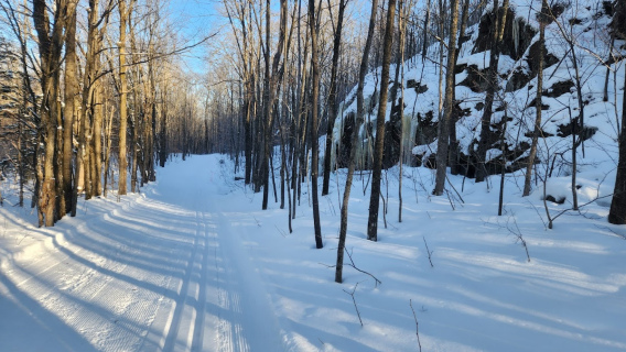 Wolverine Nordic Trails