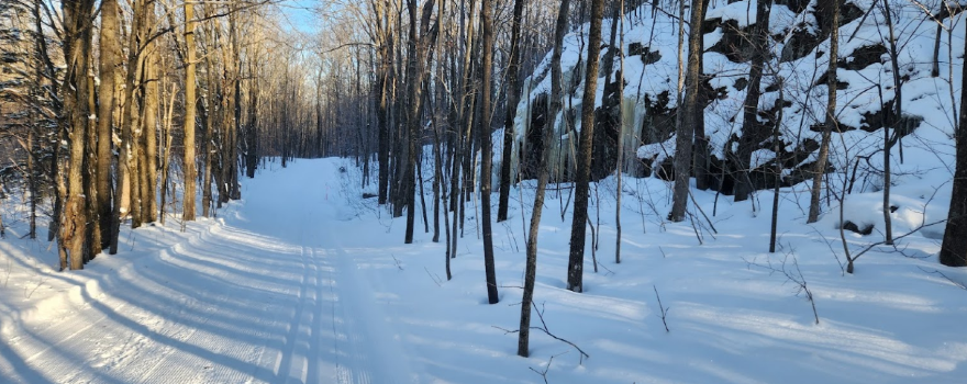 Wolverine Nordic Ski Trail