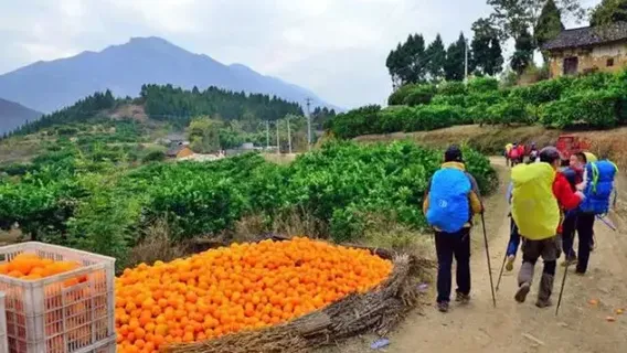 Zigui