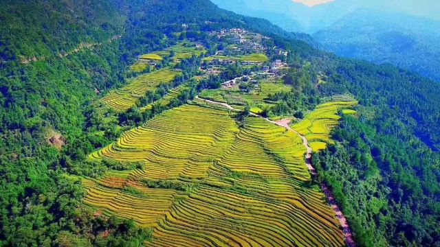 Baimati Terrace Scenic Area