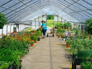 Middlebury Agway Farm and Garden
