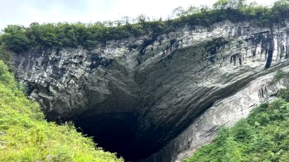 zhi jin she xiang dong