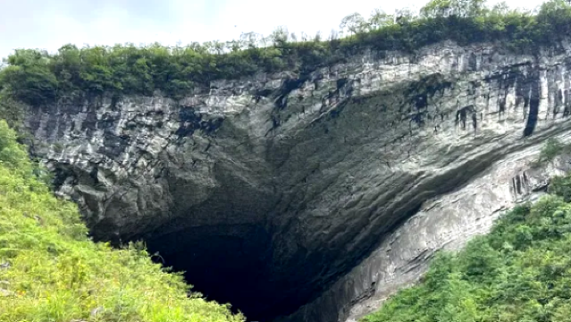 zhi jin she xiang dong