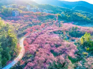 Yanziyan Scenic Area