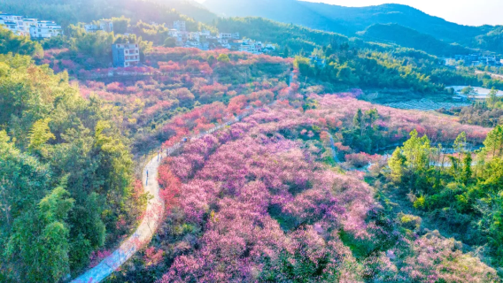 Yanziyan Scenic Area