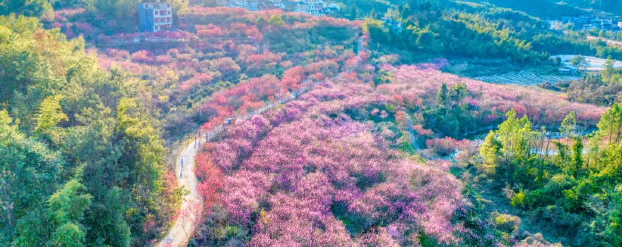 Yanziyan Scenic Area