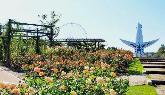 Expo'70 Commemorative Park Spring Rose Festival | Suita