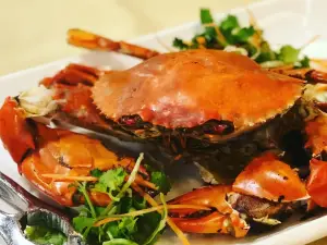 Orkid Ria Seafood Restaurant