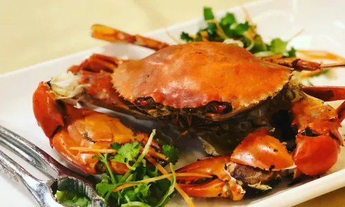 Orkid Ria Seafood Restaurant