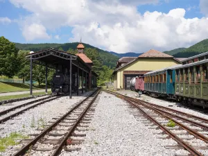The Šargan Eight