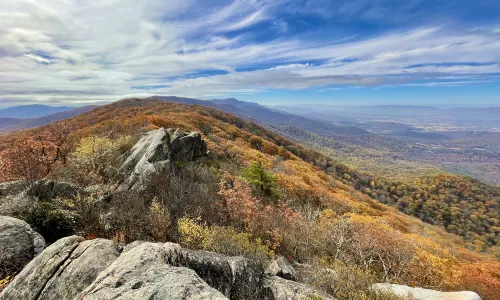 Parco nazionale di Shenandoah
