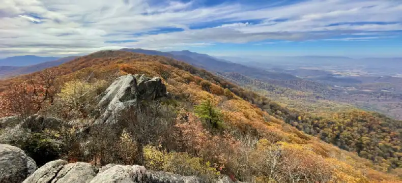 โรงแรมในPage County