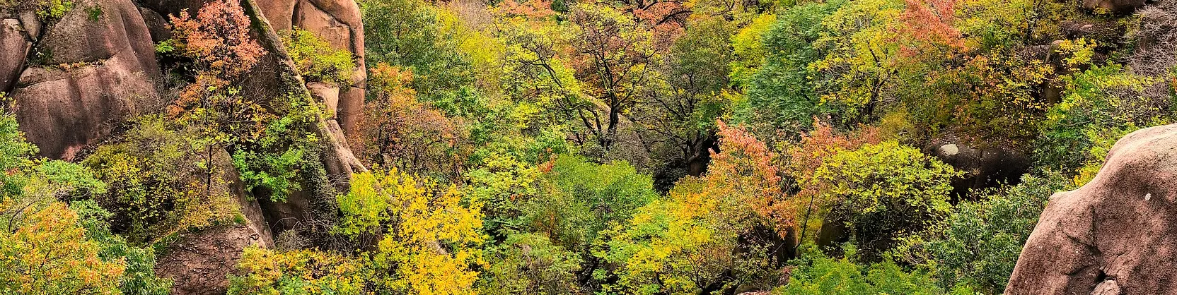 Attrazioni per la visione autunnale