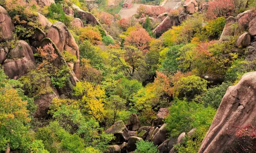 Chayashan Scenic Spot