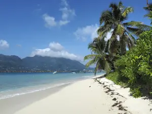 Île aux Cerfs