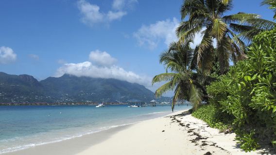 Île aux Cerfs
