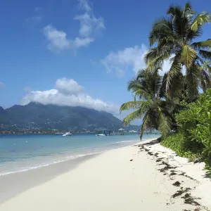 塞爾夫島