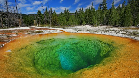 Morning Glory Pool