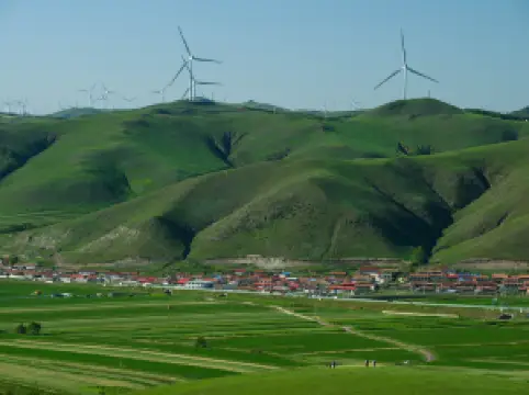 장베이의 인기 스키