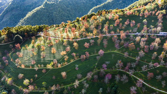 Wuliang Mountain Nature Reserve