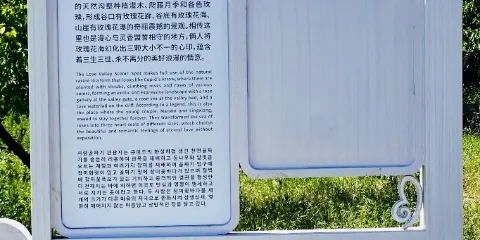 漫心忘憂谷·愛情谷