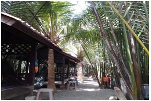 Ladang Nipah Kipli