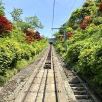 【京都】天橋立を一望できる笠松公園
