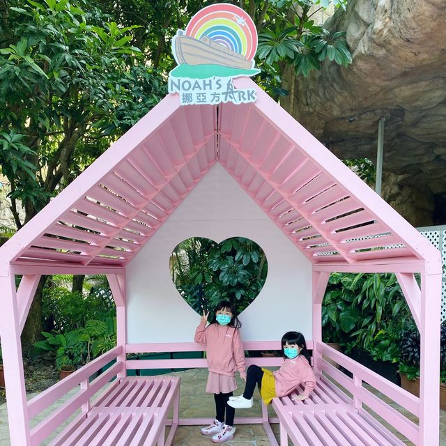咁耐冇去過公園，今次真係滿足哂 | staycation hk#hotel# 挪亞方舟度假酒店