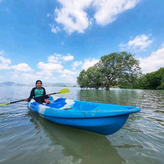 พาเรือคายัคชมธรรมชาติป่าชายเลน