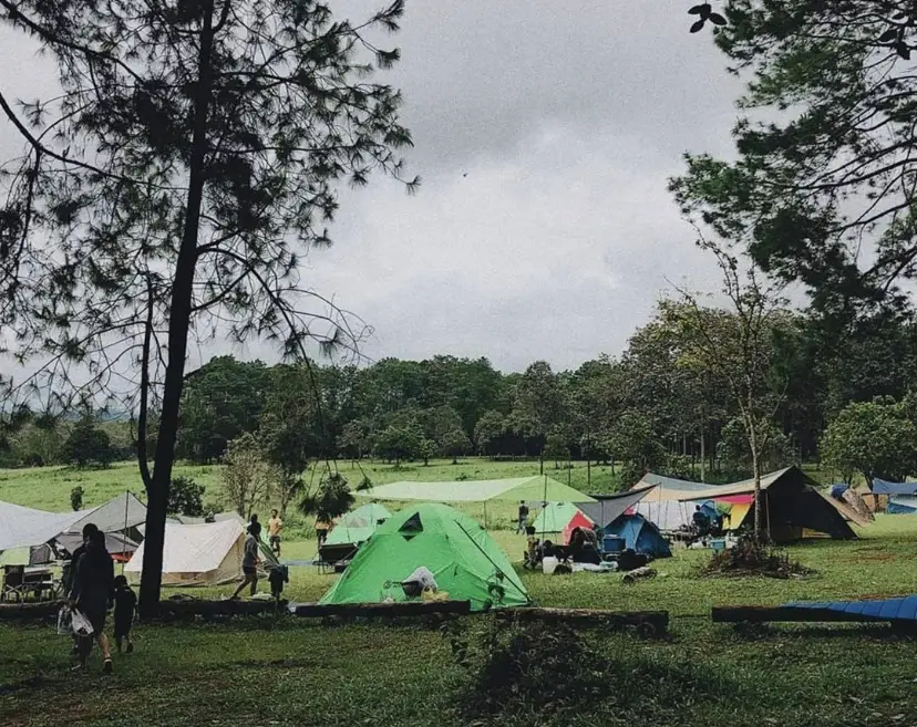 อุทยานแห่งชาติทุ่งแสลงหลวง
