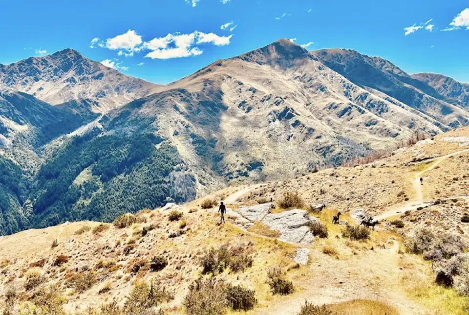 Queenstown Hill Summit