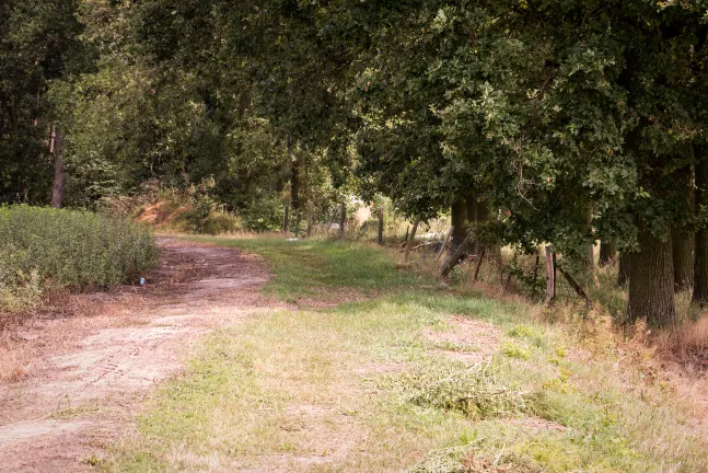 Отзывы об отеле Holiday Inn Express Folkestone - Channel Tunnel