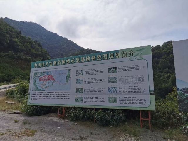 Luoding Longwan Ecological Tourism Area (Jiulong Waterfalls)