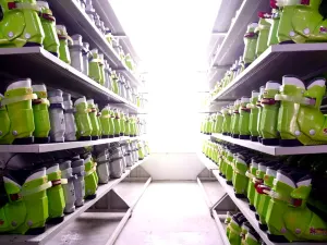 귀양 운정 스키장