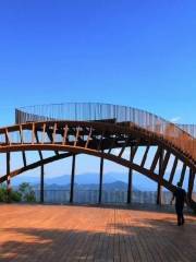 Cloud Viewing Stand