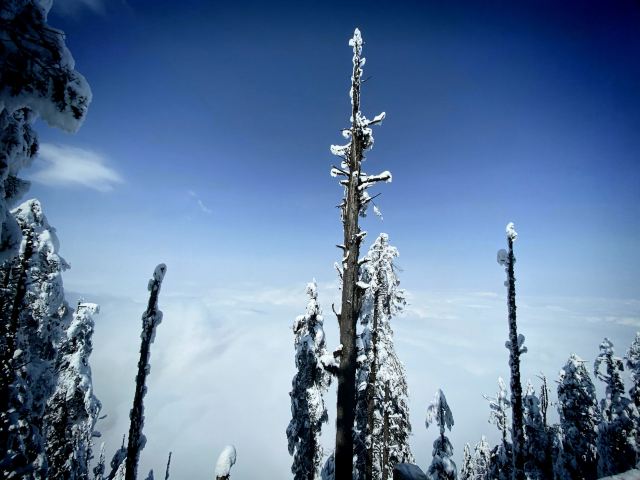 Wawushan Mountain Area