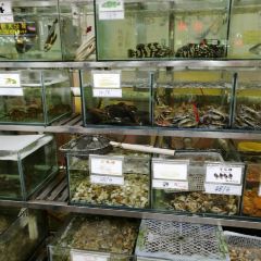 顺品美食店(旅游大道店) User Photo