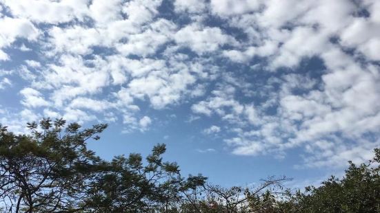 虽然阳光灿烂，但还是很冷，出来逛逛龙城公园，晒晒太阳，空气清