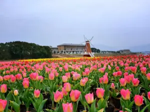 ภูเขาทะเลดอกไม้พันกู