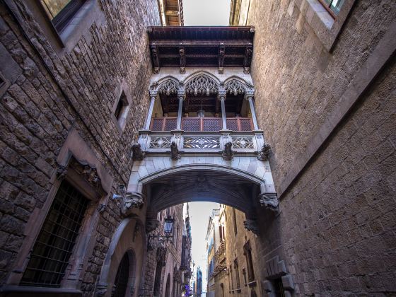 Cathedral of Barcelona