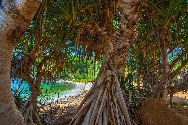 2_Остров Девы