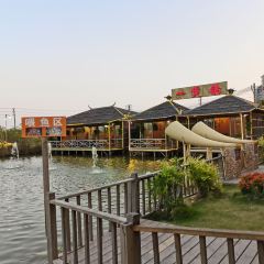 一煲鸽 User Photo