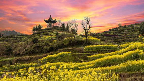 Xiuning
