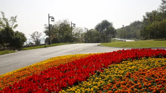 Mingyuedao Park