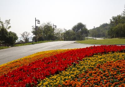 Mingyuedao Park