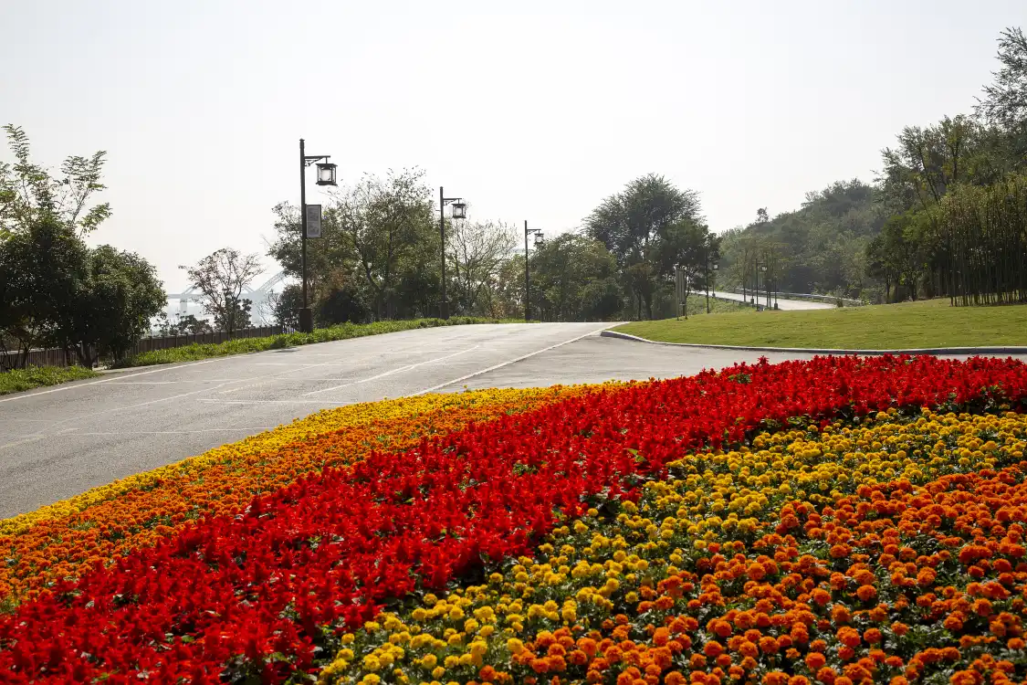 Các khách sạn gần Mingyuedao Park