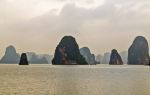 Paradise Diving Asia
